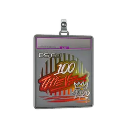 Sticker Slab | 100 Thieves image
