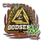 GODSENT (Holo) | 2020 RMR