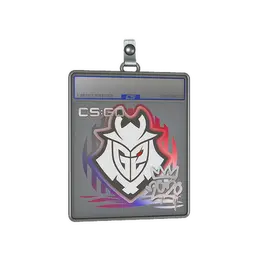 Sticker Slab | G2 | 2020 RMR image