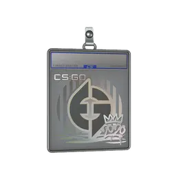 Sticker Slab | Evil Geniuses | 2020 RMR image