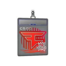 Sticker Slab | FaZe | 2020 RMR image