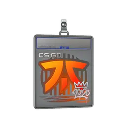 Sticker Slab | Fnatic | 2020 RMR image