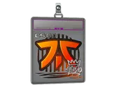 Sticker Slab | Fnatic image