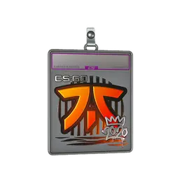 Sticker Slab | Fnatic image