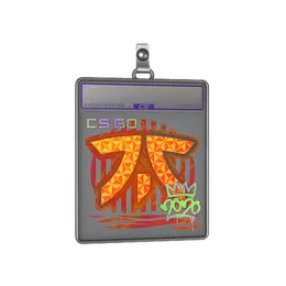 Sticker Slab | Fnatic image