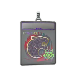 Sticker Slab | FURIA image