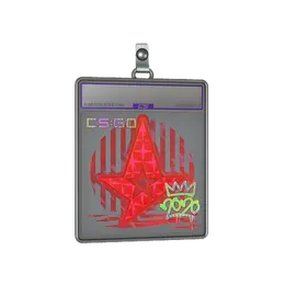 Sticker Slab | Astralis image