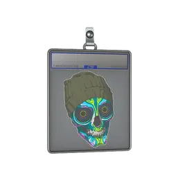 Sticker Slab | Viggo image