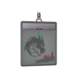 Sticker Slab | Team Spirit image