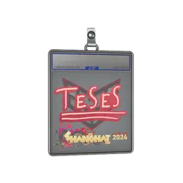 Sticker Slab | TeSeS | Shanghai 2024 image