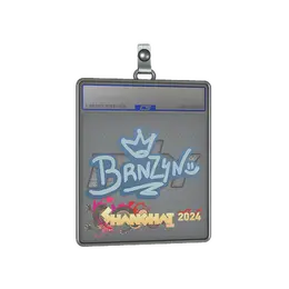 Sticker Slab | brnz4n | Shanghai 2024 image