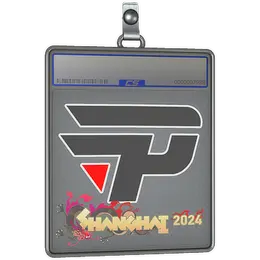 Sticker Slab | paiN Gaming | Shanghai 2024 image
