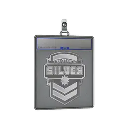 Sticker Slab | Silver image