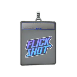 Sticker Slab | Flick Shotter image