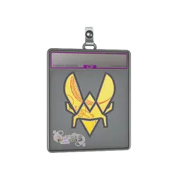 Sticker Slab | Vitality image