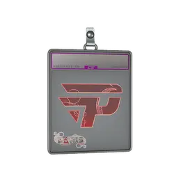 Sticker Slab | paiN Gaming image