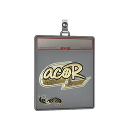 Sticker Slab | acoR image