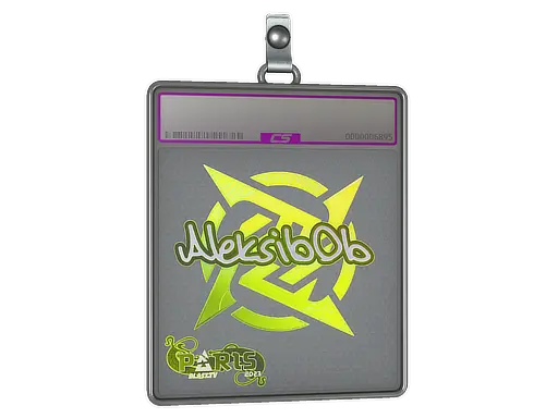 Sticker Slab | Aleksib (Holo) | Paris 2023