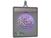 Sticker Slab | Kylar image