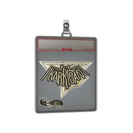 Sticker Slab | karrigan image