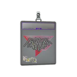 Sticker Slab | karrigan image