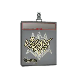 Sticker Slab | r3salt image