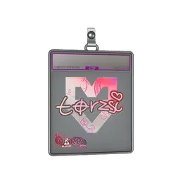 Sticker Slab | torzsi image