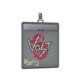 Sticker Slab | volt image