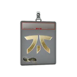 Sticker Slab | Fnatic image