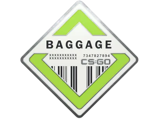 Baggage Pin
