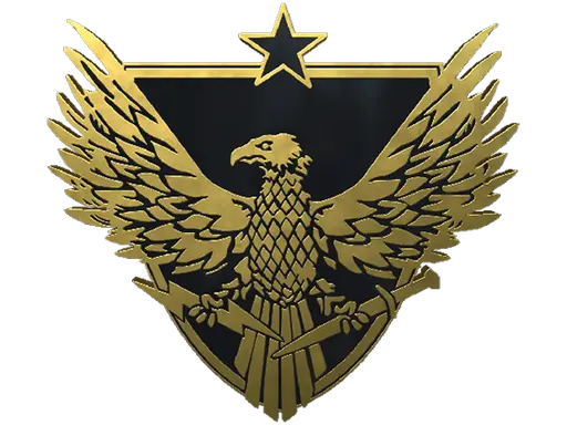 Brigadier General Pin