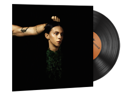 Music Kit | PVRIS, Evergreen image