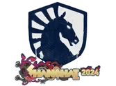 Sealed Graffiti | Team Liquid | Shanghai 2024 image