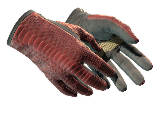 Driver Gloves | Dragon Fists image