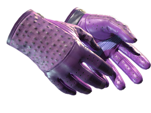 Driver Gloves | Plum Quill image