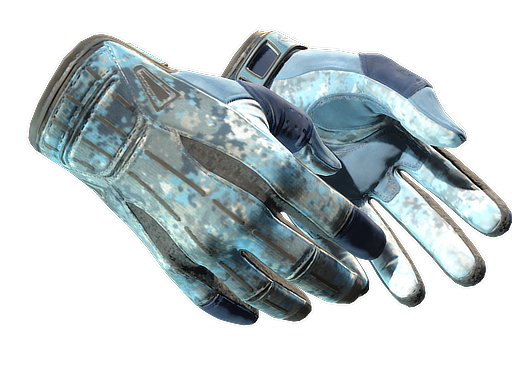 Sport Gloves | Frosty image