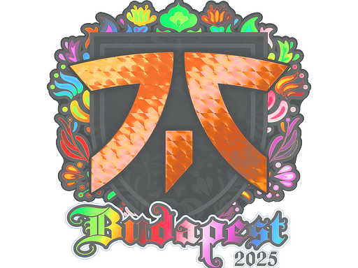 Sticker | fnatic (Holo) | Budapest 2025 image