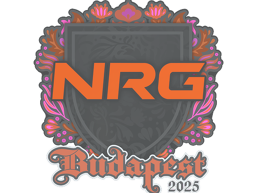 Sticker | NRG | Budapest 2025 image