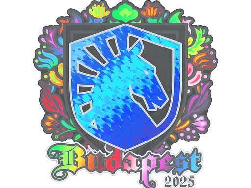 Sticker | Team Liquid (Holo) | Budapest 2025 image