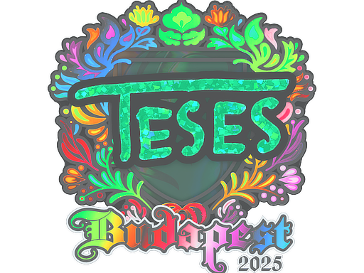 Sticker | TeSeS (Holo) | Budapest 2025 image