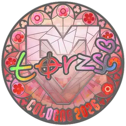 Sticker | torzsi (Holo) | Cologne 2026 image